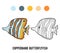 Coloring book, Copperband butterflyfish