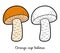 Coloring book. Edible mushrooms, orange cap boletus