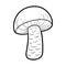 Coloring book. Edible mushrooms, orange cap boletus