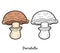 Coloring book. Edible mushrooms, portobello
