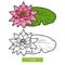 Coloring book, flower Lotus