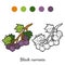 Coloring book: fruits and vegetables (black currants)