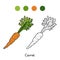 Coloring book: fruits and vegetables (carrot)