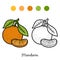 Coloring book: fruits and vegetables (mandarin)