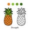 Coloring book: fruits and vegetables (pineapple)