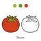 Coloring book: fruits and vegetables (tomato)