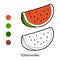 Coloring book: fruits and vegetables (watermelon)