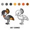 Coloring book, Grey crowned crane