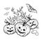 Coloring book Halloween characters. Vector illustration