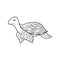 Coloring book. A hand-drawn terrapin, water turtle. Monochrome Simple doodle vector illustration