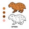 Coloring book for kids, Capybara