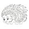 Coloring book for kids. Hedgehog.