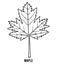 Coloring book, Maple leaf