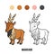 Coloring book, Markhor