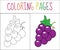 Coloring book page. Grapes. Sketch and color version. Coloring for kids. Vector illustration