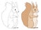 Coloring book page for preschool children with colorful squirrel and sketch to color. Vector illustration of cute little squirrel