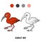 Coloring book, Scarlet ibis