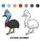 Coloring book, Southern cassowary