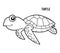 Coloring book, Turtle