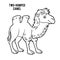 Coloring book, Two-humped camel