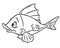 Coloring fish cartoon illustration