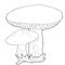Coloring is a mushrooms oiler. vector illustration