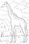 Coloring page,book a cute giraffe image for children,line art style illustration for relaxing.