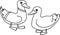 Coloring page with cartoon male and female mallard Anas platyrhynchos