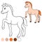 Coloring page. Color me: horse. Little cute foal.