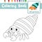 Coloring page Colorful Hermit Crab animal cartoon character vector illustration