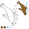 Coloring page with colors. Little cute brown seal swims.