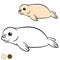 Coloring page with colors. Little cute white-coated baby fur seal