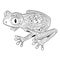 Coloring page with frog in patterned style.