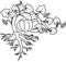 Coloring page with general view of pumpkin plant with fruit, leaves, flowers and root system