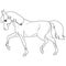 Coloring page with horse. Painting for children.