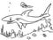 Coloring page ocean shark contour illustration