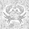 Coloring page. Ornate crab isolated on white background.