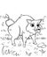 Coloring page outline of angry cartoon hog or boar attacking. Vector image with forest background. Printable coloring book of