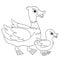 Coloring Page Outline of cartoon duck with duckling. Farm animals. Coloring book for kids