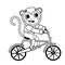 Coloring page outline of cartoon monkey on bicycle. Vector image on white background. Coloring book of transport for kids