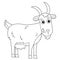 Coloring Page Outline of cartoon nanny goat. Farm animals. Coloring book for kids