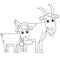 Coloring Page Outline of cartoon nanny goat with kid. Farm animals. Coloring book for kids