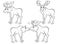 Coloring page outline of cute cartoon wild moose. Moose in different postures. Coloring book of forest animals for kids. Isolated