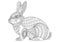Coloring Page rabbit. Hand Drawn vintage doodle bunny vector