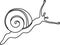 Coloring page with White-lipped snail