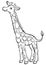 Coloring pages. Animals. Little cute giraffe.