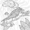 Coloring pages bird. Wild flying animal in sitting on branch vector nature floral pattern line illustrations