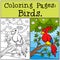 Coloring Pages: Birds. Little cute parrot.