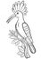 Coloring pages. Cute beautiful hoopoe sits on the tree branch