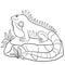 Coloring pages. Cute iguana sits on the rock.